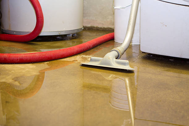 Best Residential Water Damage Restoration in USA